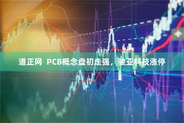道正网  PCB概念盘初走强，骏亚科技涨停